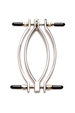 Затискач для статевих губ з повідцем Master Series Pussy Tugger Adjustable Vagina Clamp with Chain SO8797 фото